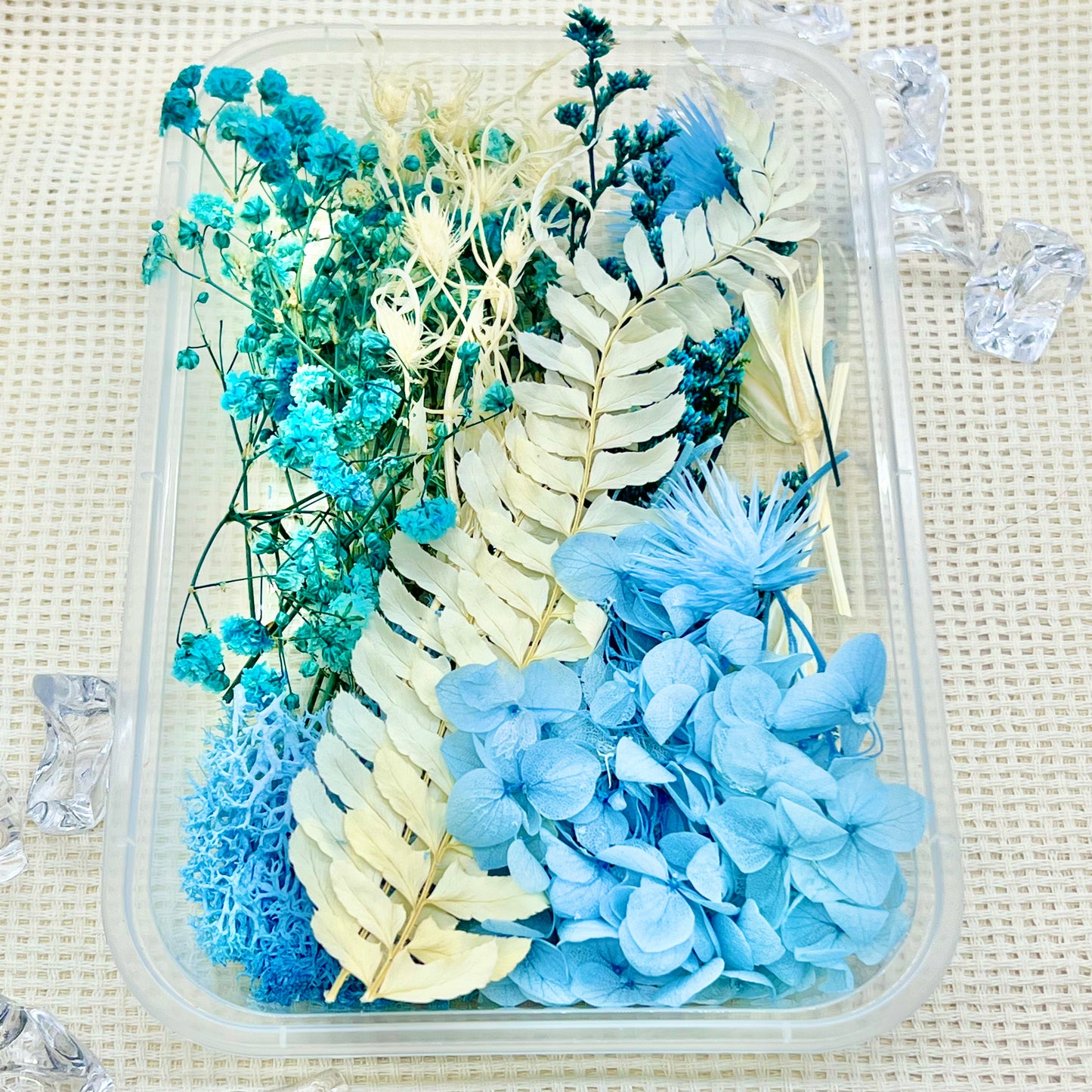 Preserved Floral Kit: Winter Haze